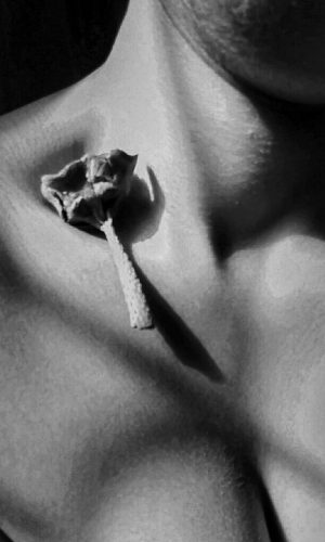 elina_banerjee_gayswan